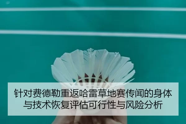 针对费德勒重返哈雷草地赛传闻的身体与技术恢复评估可行性与风险分析
